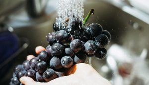 iso 22000 certification