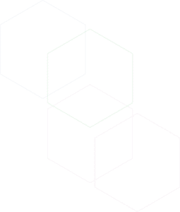 Home BG-1